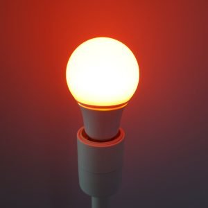 Żarówka NightTorch Eyeshield